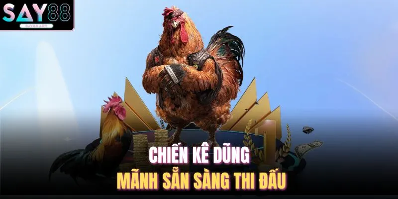 Đá Gà SAY88 3 Chiến kê dũng mãnh sẵn sàng thi đấu