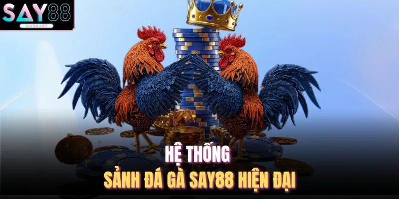 Đá Gà SAY88 1 Hệ thống sảnh đá gà SAY88 hiện đại