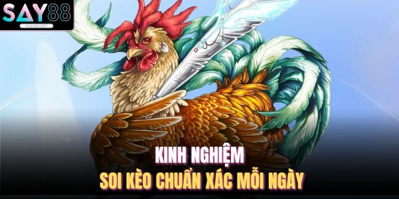 Đá Gà SAY88 4 Kinh nghiệm soi kèo chuẩn xác mỗi ngày