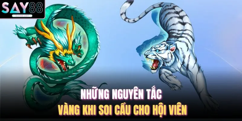 Những nguyên tắc vàng khi soi cầu cho hội viên