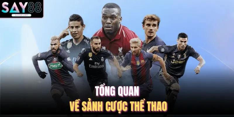 Tổng quan về sảnh cược thể thao